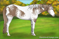 Horse Color:White Spotted Liver Red Dun Tobiano 
