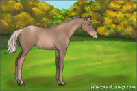 Horse Color:Silver Blue Roan Pearl 