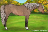 Horse Color:Silver Brown Dun
