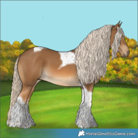 Horse Color:Chocolate Palomino Tobiano 