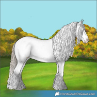 Horse Color:Liver Red Dun Tobiano Appaloosa 