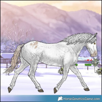 Horse Color:Liver Red Dun Sabino Varnish Rabicano 