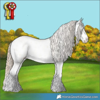 Horse Color:Buckskin Pearl Dun Sabino Appaloosa Rabicano  and Perlino Dun Sabino Appaloosa 