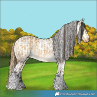Horse Color:Buckskin Dun Tobiano Rabicano  and Buckskin Dun Tobiano Leopard Rabicano 