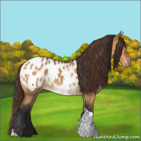 Horse Color:Bay Dun Tobiano Blanket  and Buckskin Dun Tobiano Blanket 