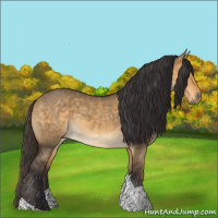 Horse Color:Buckskin Dun Tobiano Rabicano 