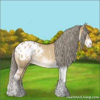 Horse Color:Chocolate Palomino Dun Sabino Blanket 