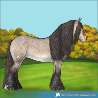 Horse Color:Bay Roan Dun Varnish  and White Spotted Bay Dun Varnish 