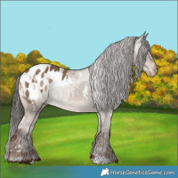 Horse Color:White Spotted Liver Red Dun Blanket and White Spotted Liver Red Dun Blanket