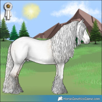 Horse Color:Gray Silver Classic Champagne Dun Tobiano  and Silver Classic Cream Champagne Roan Dun Tobiano Near Leopard 