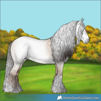 Horse Color:Gray Liver Red Dun Splash Tobiano 