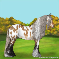 Horse Color:Gray Silver Buckskin Dun Tobiano Near Leopard 