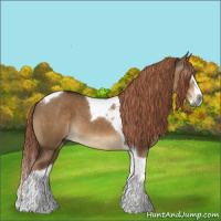Horse Color:Gray Liver Red Dun Splash Tobiano 