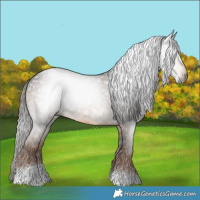 Horse Color:Gray Liver Chestnut Tobiano 