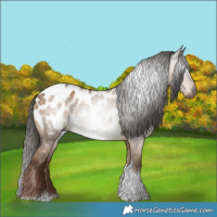 Horse Color:Gray Liver Red Dun Tobiano Near Leopard 