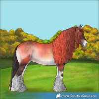 Horse Color:Brown Onyx Tobiano 
