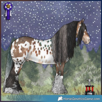 Horse Color:Bay Dun Tobiano  and Bay Tobiano Appaloosa 