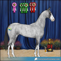 Horse Color:White Spotted Smoky Blue Roan