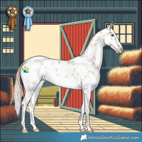 Horse Color:White Spotted Palomino Sabino