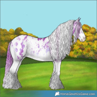 Horse Color:Watercolor White Spotted Liver Red Dun Splash Tobiano Appaloosa  and Watercolor White Spotted Liver Red Onyx Splash Appaloosa 