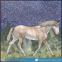 Horse Color:Chocolate Palomino Pearl Sabino 