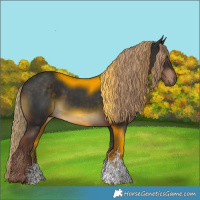 Horse Color:Liver Chestnut Sabino 