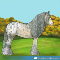 Horse Color:Watercolor Brown Ice Splash  and Watercolor Bay Ice Snowcap Rabicano 