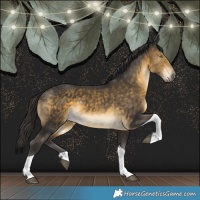 Horse Color:Buckskin Tobiano 