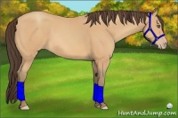 Horse Color:Amber Champagne 