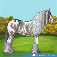 Horse Color:Brown Dun Tobiano Blanket Brindle  and Grullo Tobiano Blanket 
