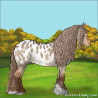 Horse Color:White Spotted Liver Red Dun Tobiano Appaloosa 