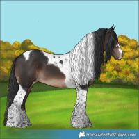 Horse Color:Brown Tobiano 