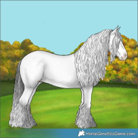 Horse Color:Liver Red Dun Splash Snowflake Varnish 