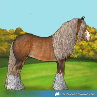 Horse Color:Chocolate Palomino Rabicano 