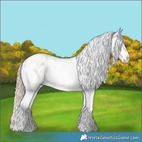 Horse Color:Chocolate Palomino Roan Sabino Blanket 