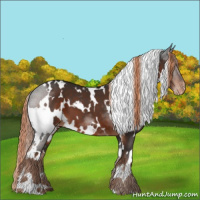 Horse Color:White Spotted Liver Chestnut Varnish 