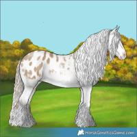 Horse Color:Chocolate Palomino Roan Dun Tobiano Blanket Rabicano 
