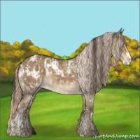 Horse Color:White Spotted Liver Red Dun  and Chocolate Palomino Dun Splash Appaloosa Rabicano 