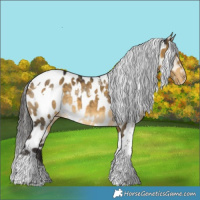 Horse Color:White Spotted Buckskin Dun Tobiano Appaloosa 
