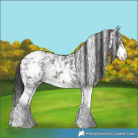 Horse Color:Brown Dun Sabino Snowflake Varnish