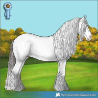 Horse Color:White Spotted Liver Chestnut Splash Appaloosa 