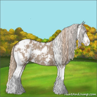 Horse Color:Liver Red Dun Sabino 