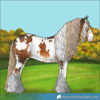 Horse Color:White Spotted Chocolate Palomino Sabino 