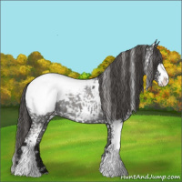 Horse Color:Liver Red Roan Sabino Appaloosa 