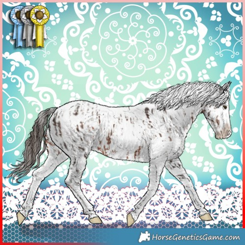 Horse Color:Liver Chestnut Sabino Appaloosa  and White Spotted Liver Red Dun Appaloosa Rabicano 