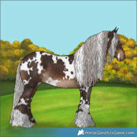 Horse Color:White Spotted Silver Brown 