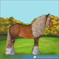 Horse Color:Chocolate Palomino 