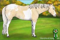Horse Color:Silver Buckskin Ice Dun Sabino Splash Tobiano Varnish Rabicano 