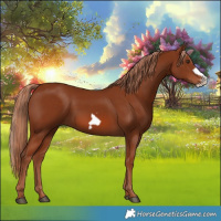 Horse Color:Chestnut Frame