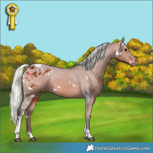 Horse Color:White Spotted Silver Brown Tobiano Appaloosa Rabicano 